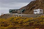 Buses and campers stop to view a band of adult Dall Sheep rams standing in autumn colored brush near the Park Road in Denali National Park and Preserve, Interior Alaska, Fall