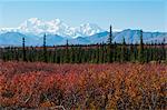 Scenic view of the west side of Mt. McKinley as seen from the Parks Highway, Denali National Park and Preserve, Interior Alaska, Autumn