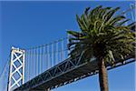 Bay Bridge et palmier, San Francisco, Californie, USA