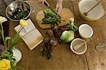 Femme, couper les légumes en cuisine