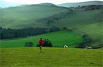 Man running in rural hills