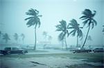 Cars on beach during storm