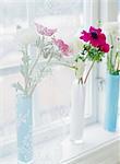 Vases of flowers on window sill