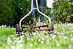 Lawn mower in the grass, Sweden.