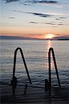 A ladder on a jetty, Skane, Sweden.