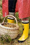 Mushrooms in a basket, Sweden.