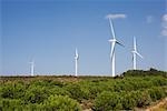 Éoliennes sur un champ, Portugal.