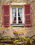 Ein altes Fenster mit Glyzinien wachsen unter ihm in Cluny, Burgund, Frankreich, Europa
