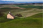 Scheune in der Palouse, Idaho, USA, Nordamerika