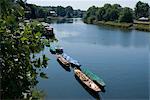 View of the Thames from Richmond Bridge, Richmond, Surrey, England, United Kingdom, Europe