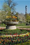 Feder Anzeige von Tulpen, Regent's Park, London NW1, England, Vereinigtes Königreich, Europa