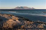 Cape Town and Table Mountain, South Africa, AFrica