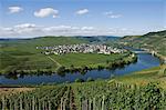 Vignobles bordant les rives de la rivière Moselle, Allemagne, Europe