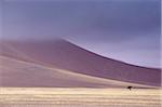 Frühen Morgennebel auf roten Sanddünen sind bis zu 300 m hohen Tal Sossusvlei, Namib-Naukluft Park, Namibia, Afrika