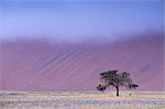 Early morning mist on red sand dunes which are up to 300m high, Sossusvlei valley, Namib-Naukluft Park, Namibia, Africa