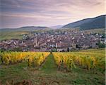 Riquewihr, village médiéval emblématique de la route des vins d'Alsace, du vignoble, Haut Rhin, Alsace, France, Europe