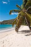 Amitié Bay beach, Bequia, Saint Vincent et les Grenadines, îles sous-le-vent, Antilles, Caraïbes, Amérique centrale