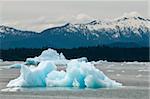 Iceberg in LeConte Bay, Southeast Alaska, Alaska, United States of America, North America