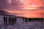 Hölzerne Buhne Meer Verteidigung am Bossington Strand bei Sonnenuntergang, Exmoor-Nationalpark, Somerset, England, Vereinigtes Königreich, Europa