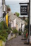 Narrow cobbled street in the fishing village of Clovelly, North Devon, England, United Kingdom, Europe