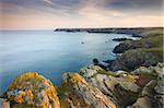 Looking north towards Kynance Cove from Lizard Point, the most southerly point in mainland Britain, Cornwall, England, United Kingdom, Europe