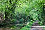 Verdant spring foliage lines the banks of the Monmouthshire and Brecon Canal near Llanhamlach, Brecon Beacons National Park, Powys, Wales, United Kingdom, Europe