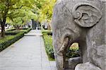 Elephant statues on Stone Statue Road at Ming Xiaoling, Ming dynasty tomb, UNESCO World Heritage Site, Zijin Shan, Nanjing, Jiangsu, China, Asia