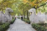 Kamel Statuen auf Stone Statue Straße bei Ming Xiaoling, Ming-Dynastie Grab, UNESCO Weltkulturerbe, Zijin Shan, Nanjing, Jiangsu, China, Asien