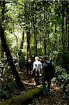Trekking à travers la forêt, Thekkady, Kerala, Inde, Asie