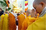 Wesak day celebration in Khanh Anh temple, Evry, Essonne, Ile-de-France, France, Europe