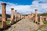 Les ruines romaines de Djemila, patrimoine mondial de l'UNESCO, Algérie, Afrique du Nord, Afrique