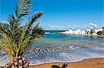 Palm and beach at beach resort on the Mediterranean coast near Tipasa, Algeria, North Africa