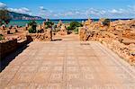 Mosaics at the Roman ruins of Tipasa, UNESCO World Heritage Site, on the Algerian coast, Algeria, North Africa, Africa