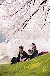 Japanese Family Having Fun In Meadow