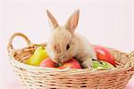 Rabbit Sitting In Basket