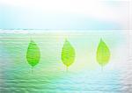 Leaves and water surface