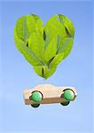Heart shaped leaf and wooden hot wheels