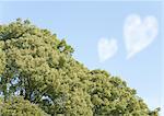 Heart shaped clouds and forest