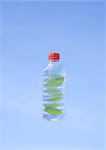 Feuilles dans une bouteille en plastique