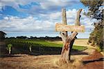 Windance wine estate, Margaret River, Western Australia, Australia