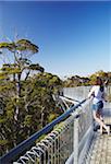 Femme sur Treetop Walk dans la vallée des géants, Walpole, Australie-occidentale, Australie