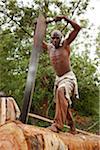 Burundi. Un homme coupe un arbre en planches dans une fosse de sciage traditionnel.