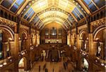 Atrium of the National History Museum in London.
