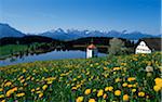 Lake Hergratsried, Allgaeu, Bavaria, Germany