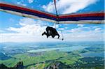 Paraglider at Tegelberg, Allgaeu, Bavaria, Germany