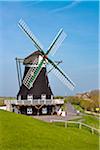 Moulin à vent, Nordermuhle, Pellworm Island, la Frise du Nord, Schleswig Holstein, Allemagne