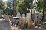 Jewish cemetery, Lido Island, Venice, Veneto, Italy