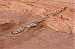 Enfants Samburu leurs chèvres familys à un point d'eau creusé dans le lit d'une rivière saisonnière de l'eau.