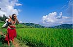 Nepal, Kathmandu Valley, Julukeni. A village woman pauses on a path weaving through terraced paddy fields in the hills of the Kathmandu Valley.