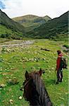 Peru, Amazonas Region, Chachapoyas Province, nr. Leymebamba, Atuen Valley. Ponies ease the way for a small group visiting the remote Chachpoyan, or 'People of the Clouds', sites at La Petaca and Diablo Wasi.